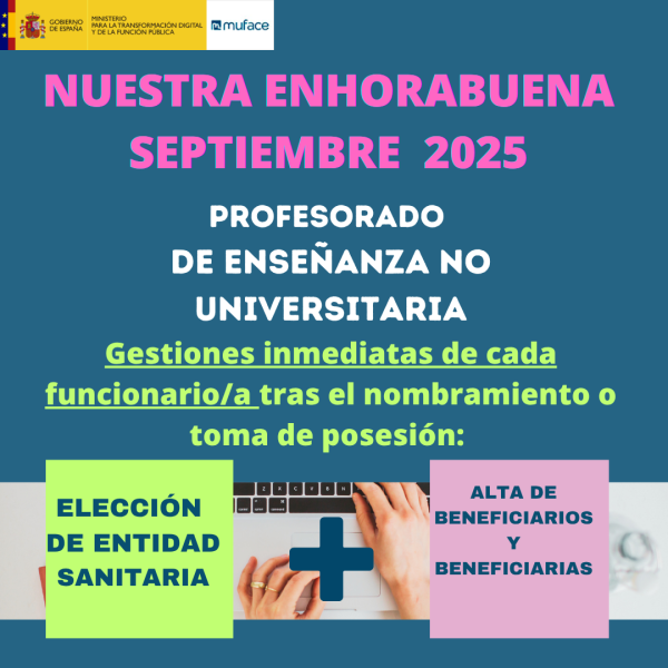 profesorado de enseñanza no universitaria