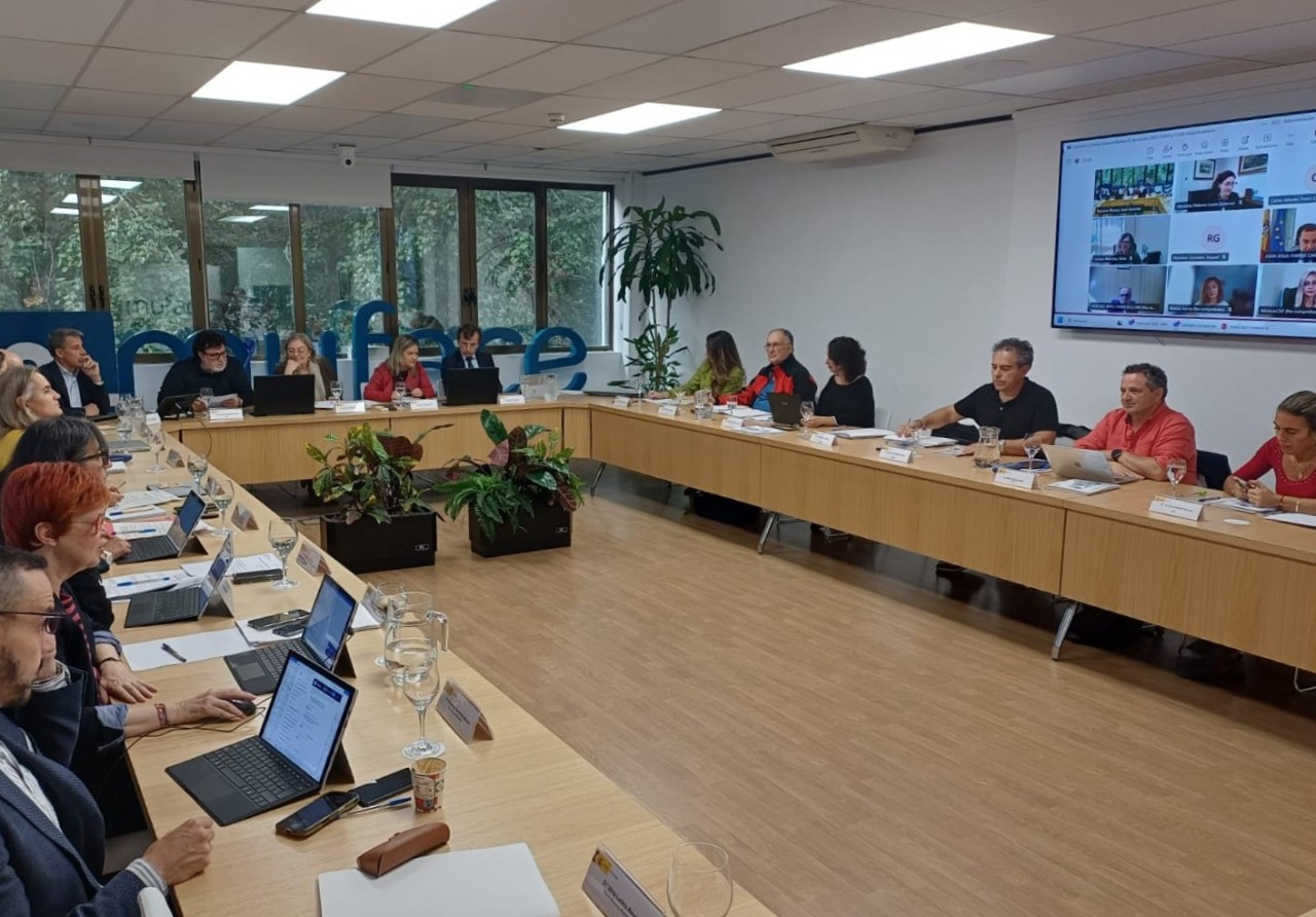 Vista general del Consejo durante su reunión