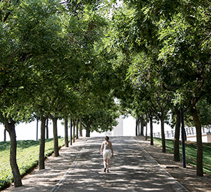 Comer bien alarga la vida 01