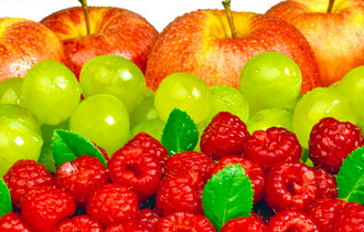 Enfermedades de la civilización