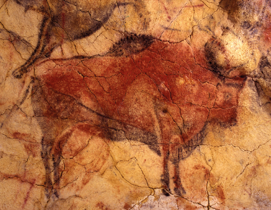 Los bisontes de Altamira, como nunca se han visto