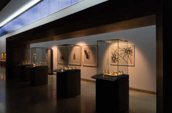 Los bisontes de Altamira, como nunca se han visto