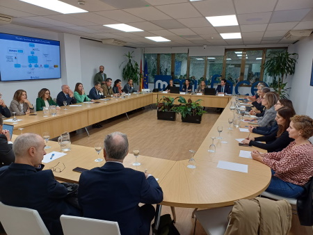 Vista general de la reunión técnica de e-receta concertada en Madrid